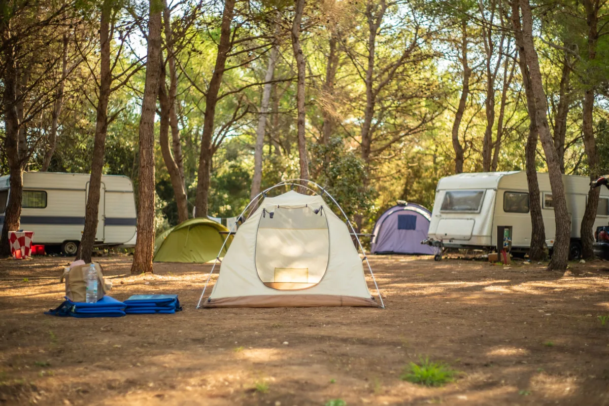 La FFCC, un acteur historique de la réglementation du camping en France