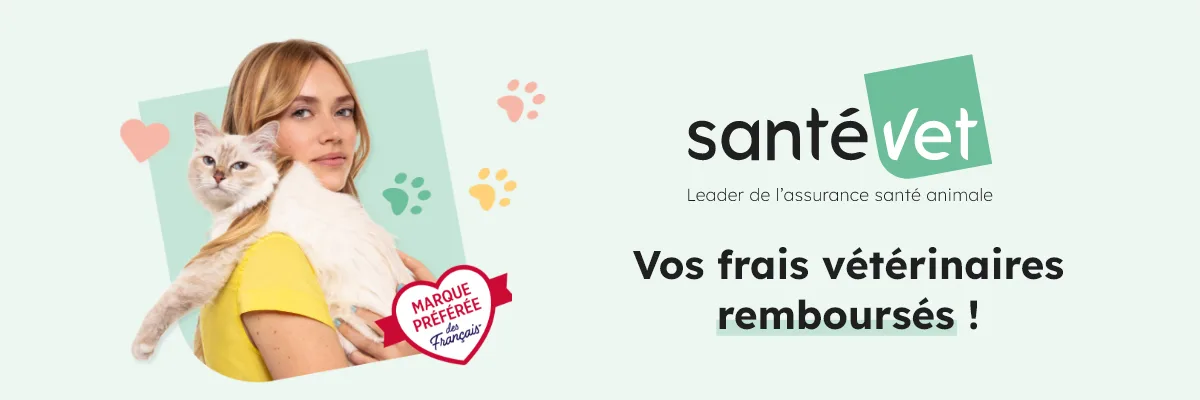Assurance animal de compagnie : faites un devis gratuit !