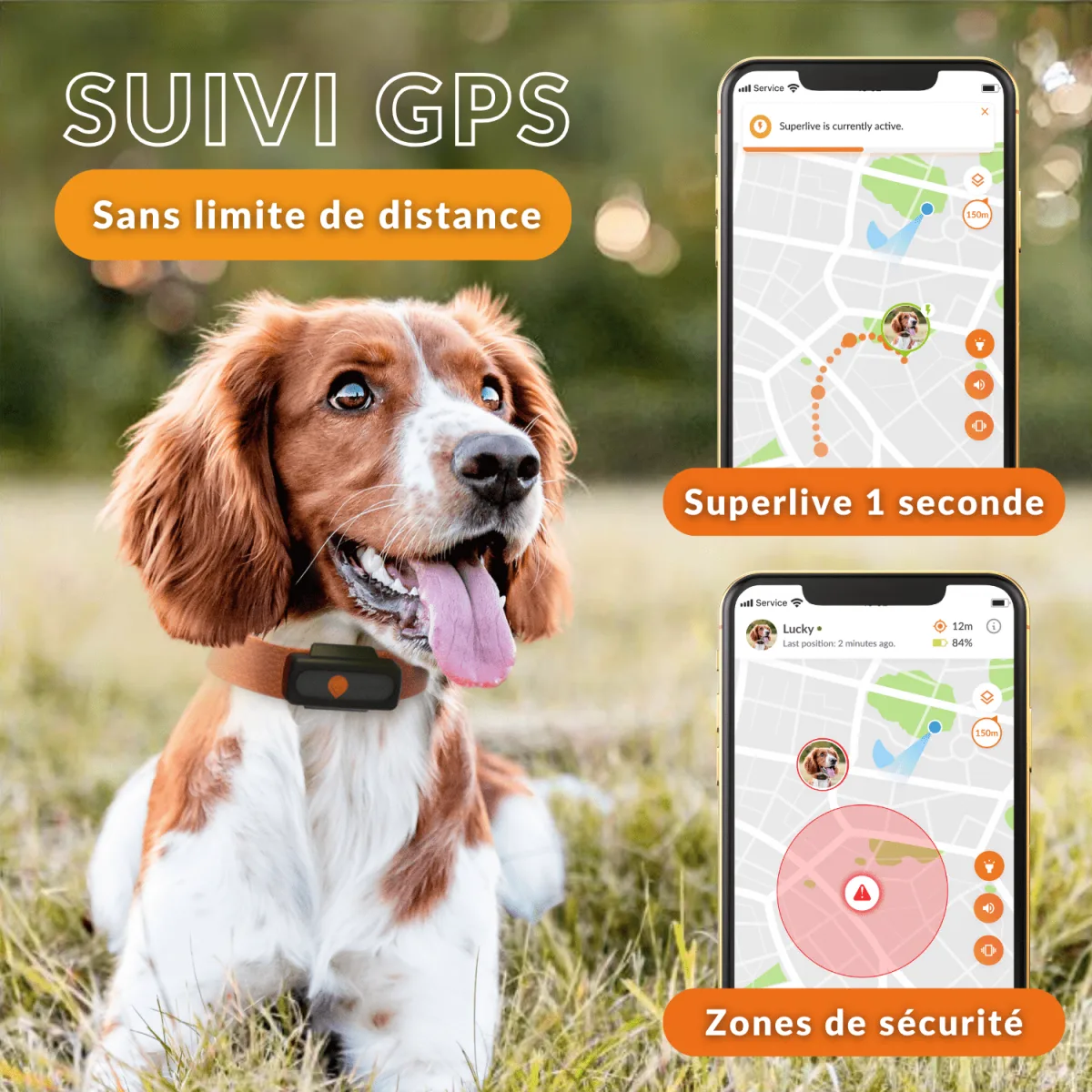 Le traceur GPS pour chien et chat sur la boutique FFCC