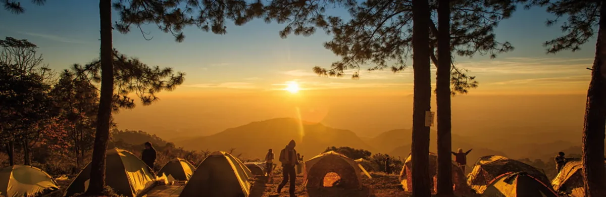Le renouveau des "petits campings" français