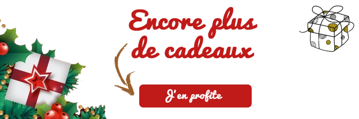 Idées cadeaux FFCC sous le sapin !