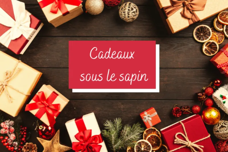 Idées cadeaux FFCC sous le sapin !