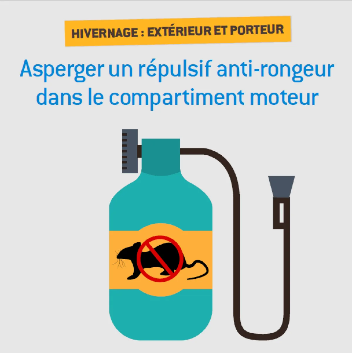 Découvrez les nouvelles fiches pratiques réalisées en partenariat avec l'ACA !