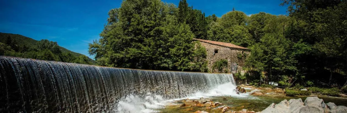 Tendance : le camping, champion du tourisme rural de proximité