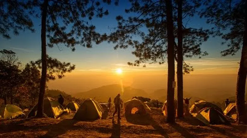Vacances d'été : l'importance de l'ouverture des campings