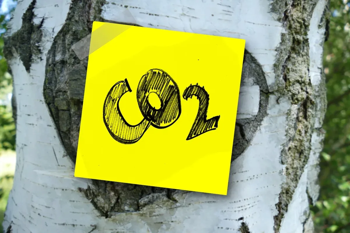 Le camping-caravaning est-il écologique ?