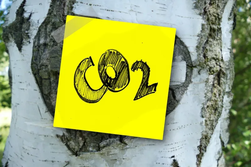 Le camping-caravaning est-il écologique ?