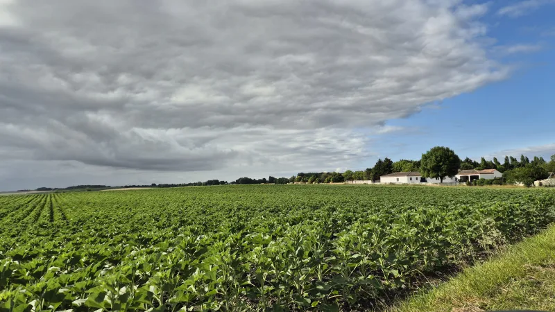 Des paysages reposants
